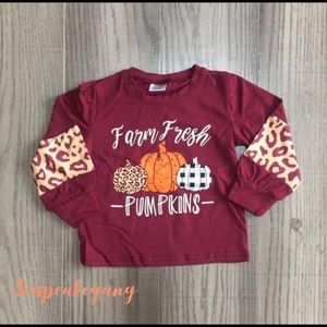Farm Pumpkins top